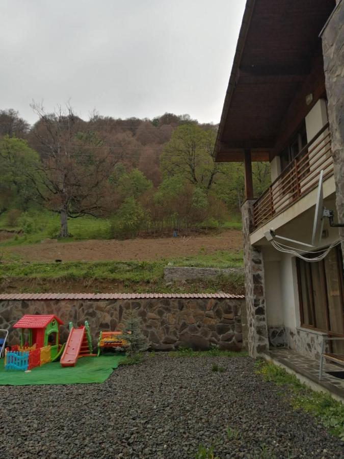 Konstantine's Chalet Bakouriani Extérieur photo