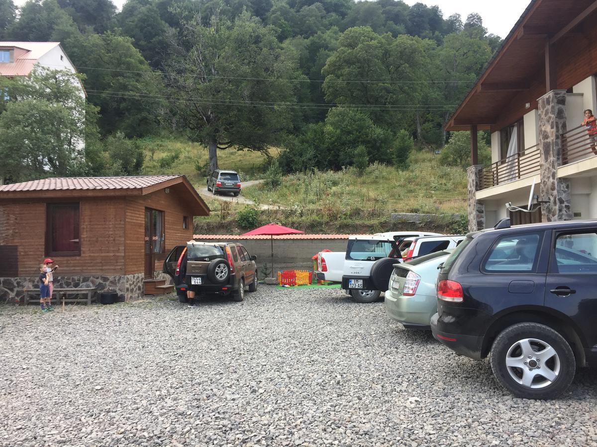 Konstantine's Chalet Bakouriani Extérieur photo