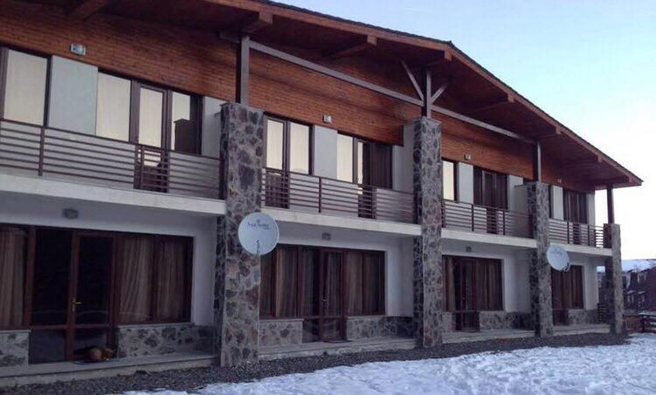 Konstantine's Chalet Bakouriani Extérieur photo