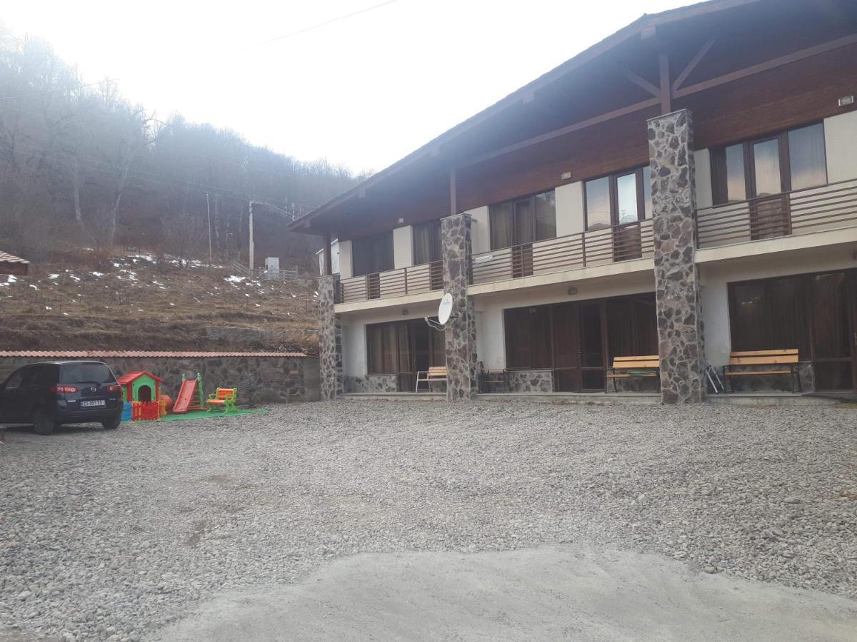Konstantine's Chalet Bakouriani Extérieur photo